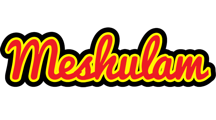 Meshulam fireman logo