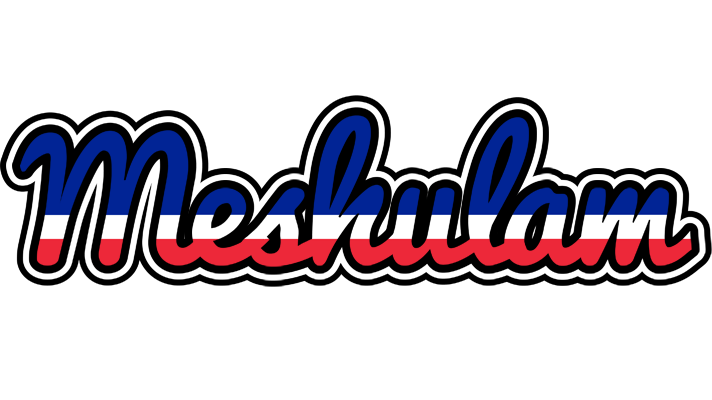 Meshulam france logo