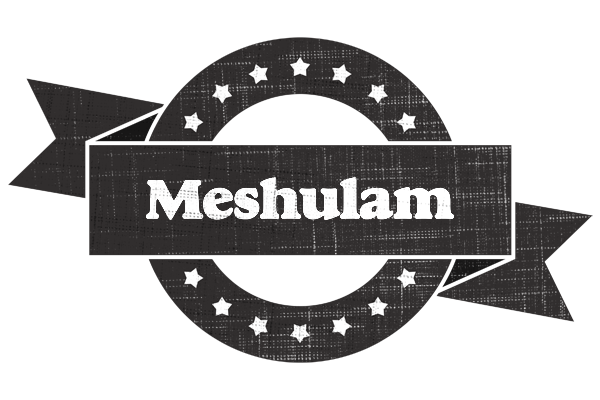 Meshulam grunge logo