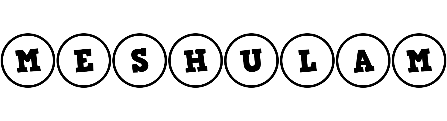 Meshulam handy logo