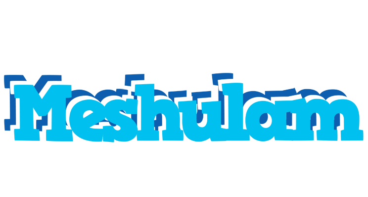 Meshulam jacuzzi logo