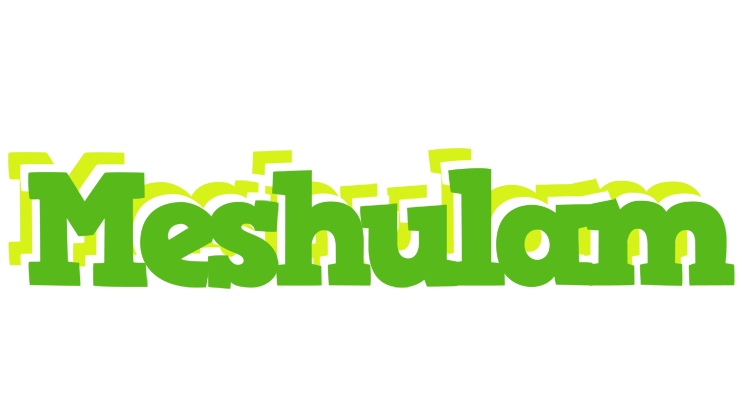 Meshulam picnic logo