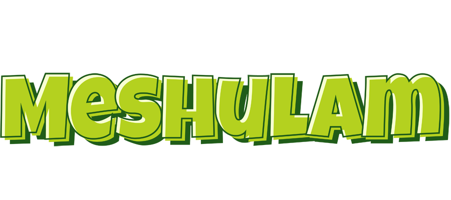 Meshulam summer logo