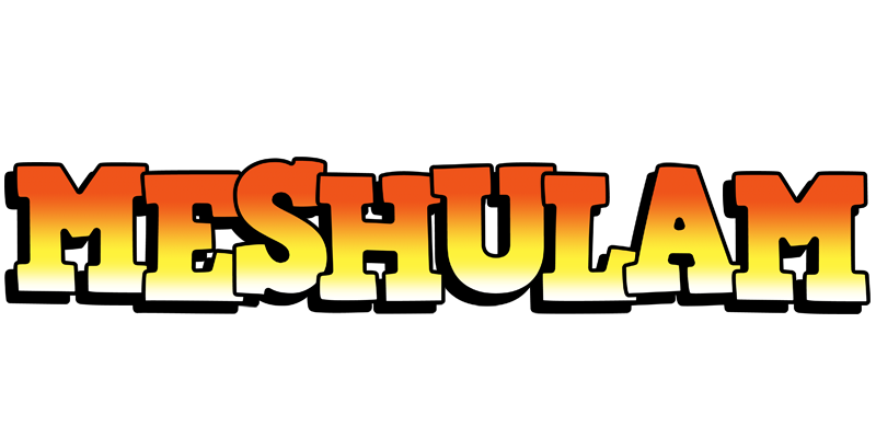 Meshulam sunset logo