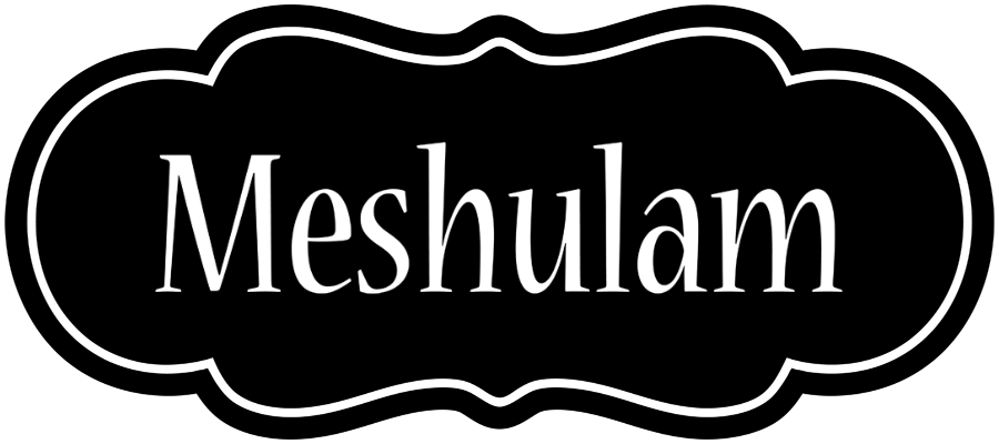 Meshulam welcome logo