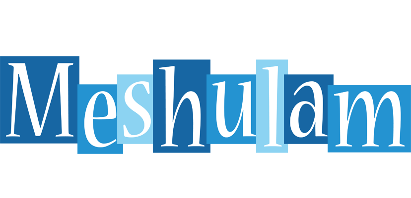 Meshulam winter logo