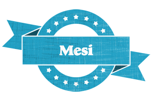 Mesi balance logo