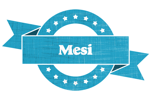 Mesi balance logo