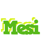 Mesi picnic logo