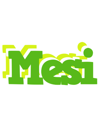 Mesi picnic logo