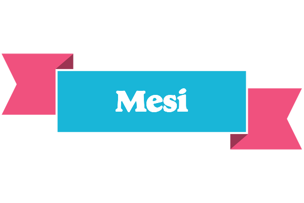 Mesi today logo