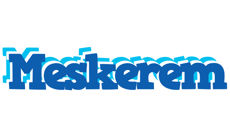 Meskerem business logo