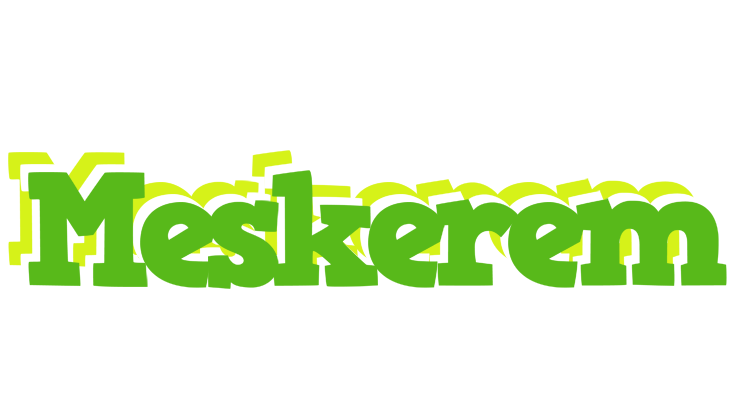 Meskerem picnic logo