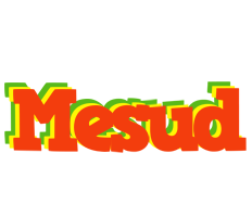 Mesud bbq logo