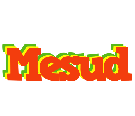 Mesud bbq logo