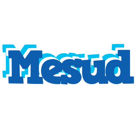 Mesud business logo