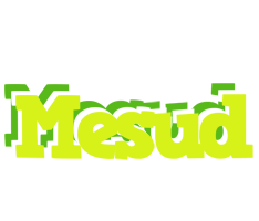 Mesud citrus logo