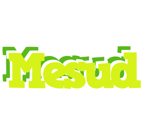 Mesud citrus logo
