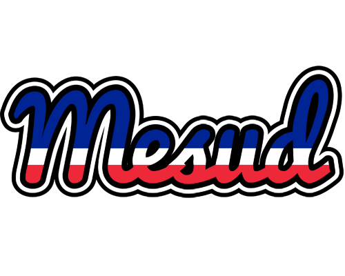 Mesud france logo