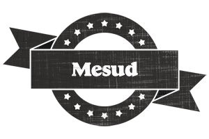 Mesud grunge logo