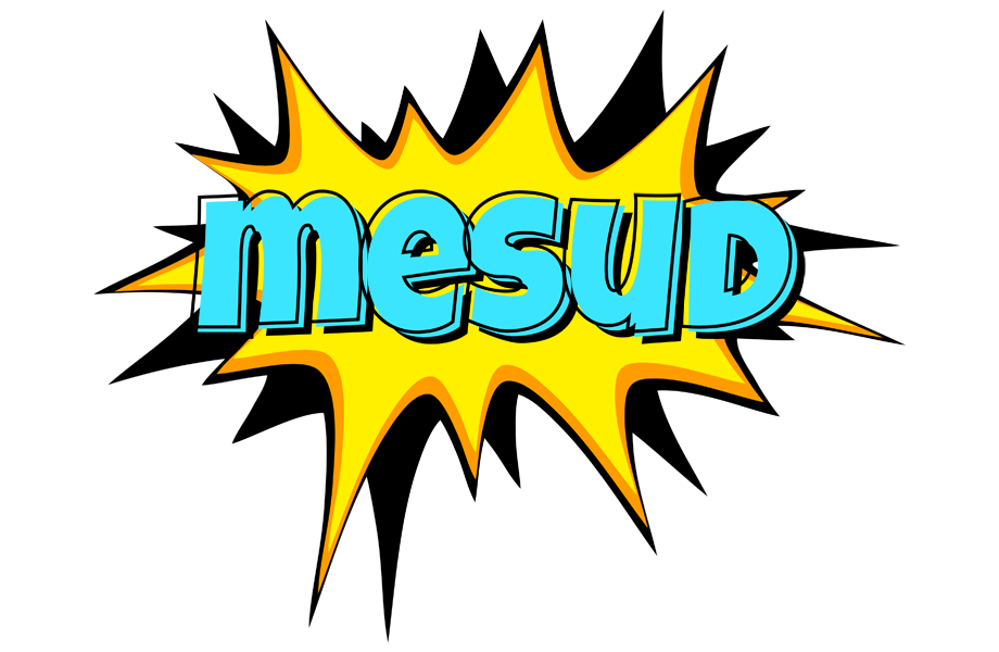 Mesud indycar logo
