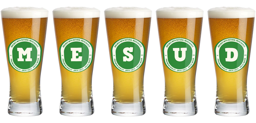 Mesud lager logo