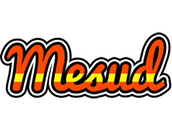 Mesud madrid logo