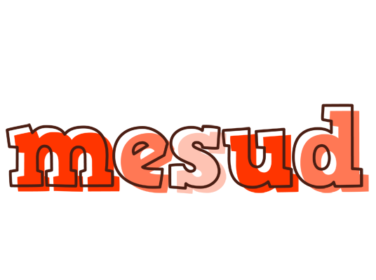 Mesud paint logo