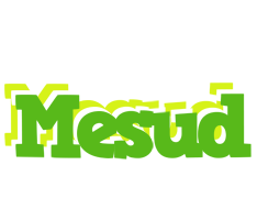 Mesud picnic logo