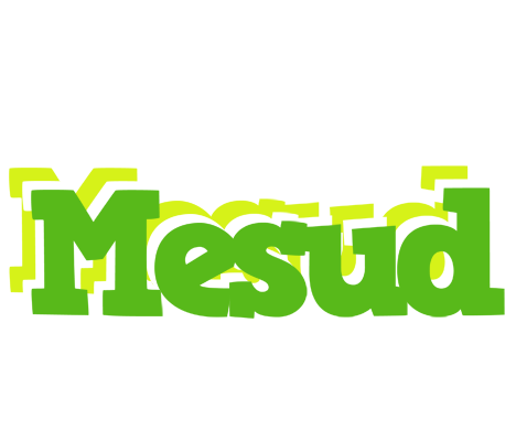 Mesud picnic logo