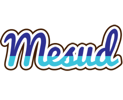 Mesud raining logo