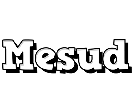 Mesud snowing logo