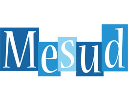 Mesud winter logo