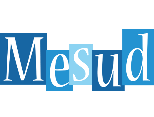 Mesud winter logo