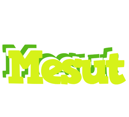Mesut citrus logo