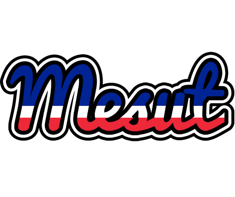 Mesut france logo