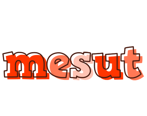 Mesut paint logo