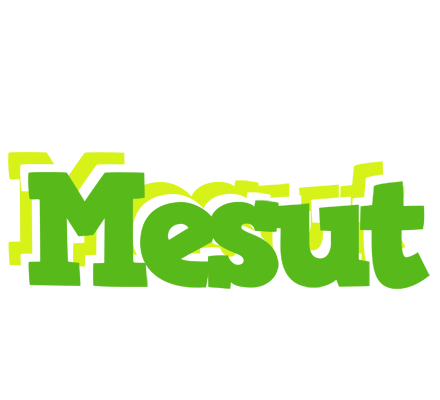 Mesut picnic logo