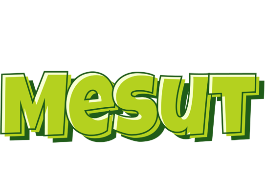 Mesut summer logo