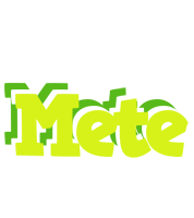 Mete citrus logo