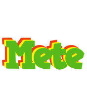 Mete crocodile logo