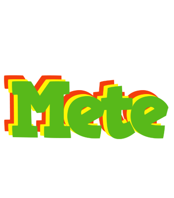 Mete crocodile logo
