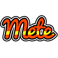 Mete madrid logo