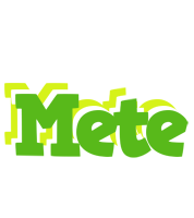 Mete picnic logo