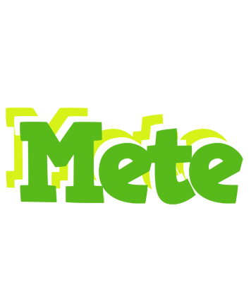 Mete picnic logo