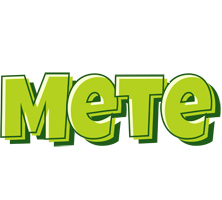 Mete summer logo