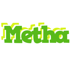 Metha picnic logo