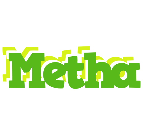 Metha picnic logo