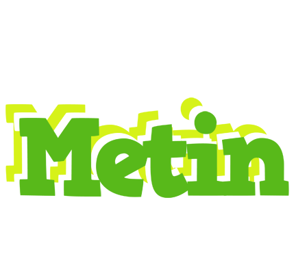 Metin picnic logo