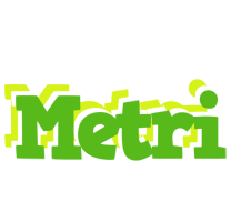 Metri picnic logo